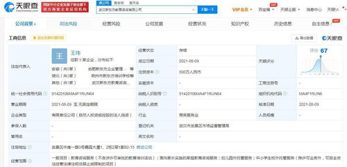 新東方拓展教育服務(wù)版圖 成立教育咨詢公司并擴展兒童看護與網(wǎng)絡(luò)文化經(jīng)營